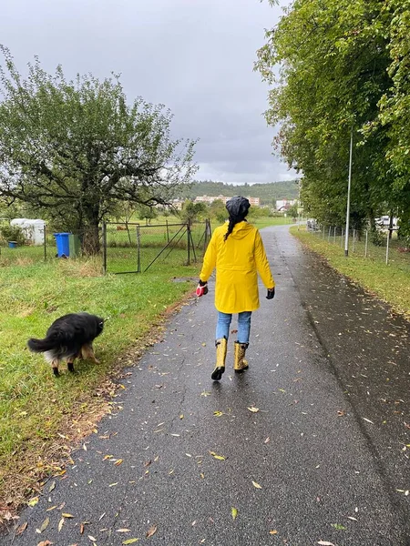 Woman Yellow Raincoat Rain Boots Jaguar Pattern Walking Dog Rainy — Stock Photo, Image