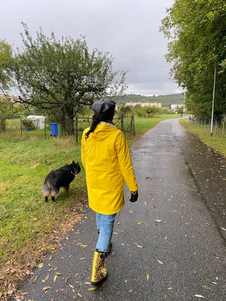 Sonbaharda yağmurlu bir günde jaguar desenli sarı yağmurluk ve yağmur botlu bir kadın köpekle yürüyor. Kişinin ve hayvanın arka planı.