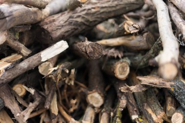 görüntü yığılmış logpile ve ahşap