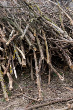 görüntü yığılmış logpile ve ahşap