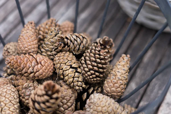 Cones Pinheiro Cesta Decoração — Fotografia de Stock