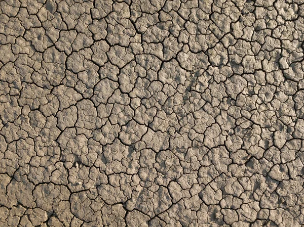 Yellow dry land, drought — Stock Photo, Image