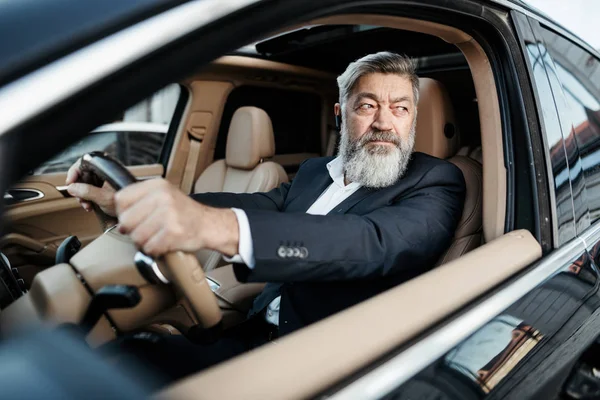 A gray bearded hipster businessman in a business suit sits behind the wheel of an expensive business class