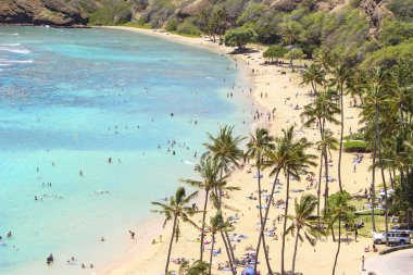 ABD, Hawaii, Honululu Haziran 2014, güneşli bir günde plaj