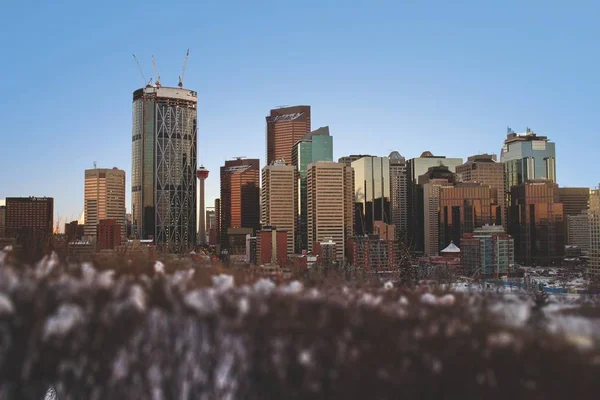 Calgary Downtown Tijdens Een Winterdag — Stockfoto