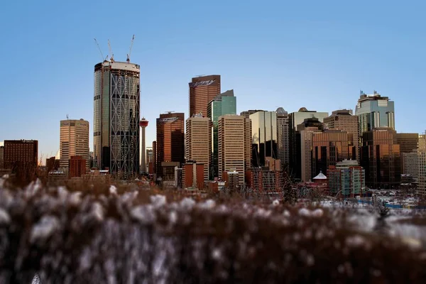 Calgary Centre Ville Pendant Une Journée Hiver — Photo