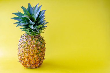 Sarı arka planlı ve grafik veya metin için sağda yer olan ananas 