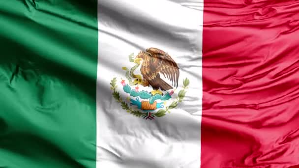 Mexicaanse Nationale Vlag Mexico World Cup 2022 Football Soccer — Stockvideo