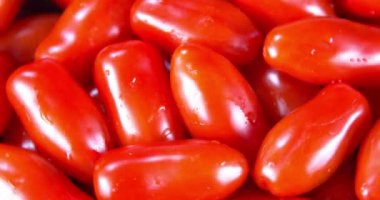 Shinny ıslak roma domates dönen 