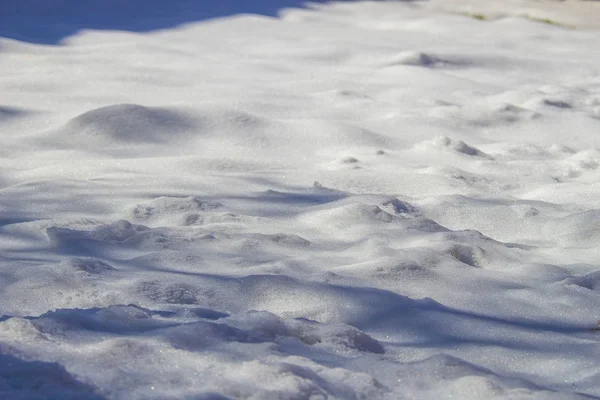 日中の雪の質感 — ストック写真