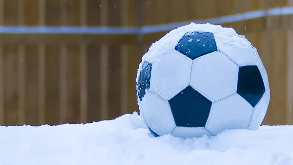 冬季雪灾期间的雪中足球 背景为木制栅栏 — 图库照片