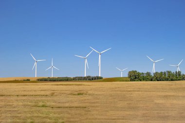 Bir çiftlikte birkaç rüzgar kulesi türbini elektrik gereçleri. Bir tarlada yenilenebilir enerji kaynağı.