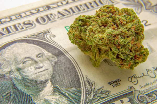 Una Flor Cannabis Proyecto Ley Los Estados Unidos América —  Fotos de Stock