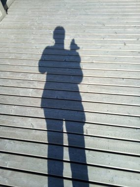 tahta kaldırımda bir köpek ile bir bayan gölge