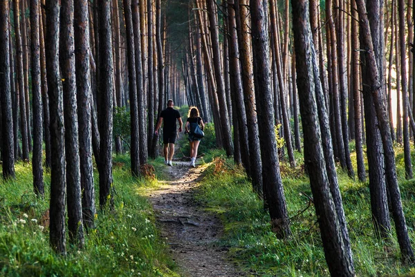 people walking down a path in the woods