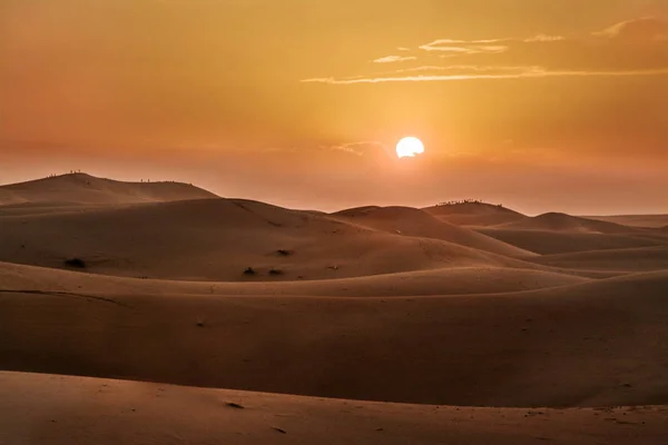 Sunset, desert, the Western Sahara, Morocco.