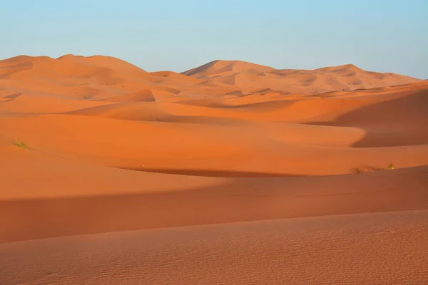 desert, the Western Sahara, Morocco