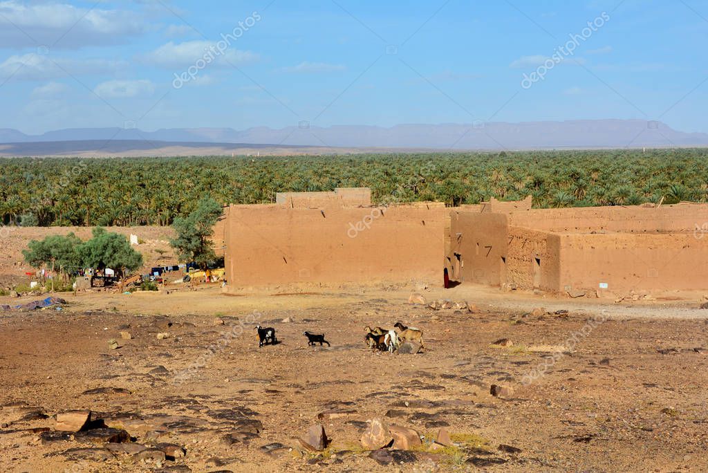 ZAGORA