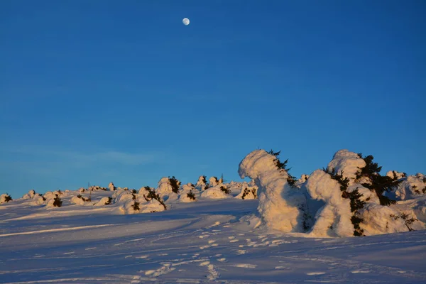 Winter dawn over the Sudeten mountains, Karkonosze, Poland