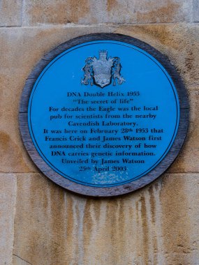 Cambridge, Uk - Yaklaşık Ekim 2018: James Watson'ın Şubat 1953'te 