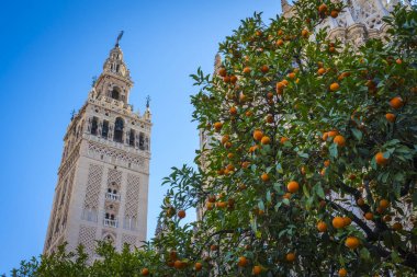 Giralda, Seville