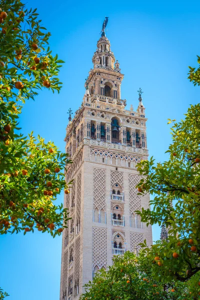 Giralda, Sevilla — Foto de Stock