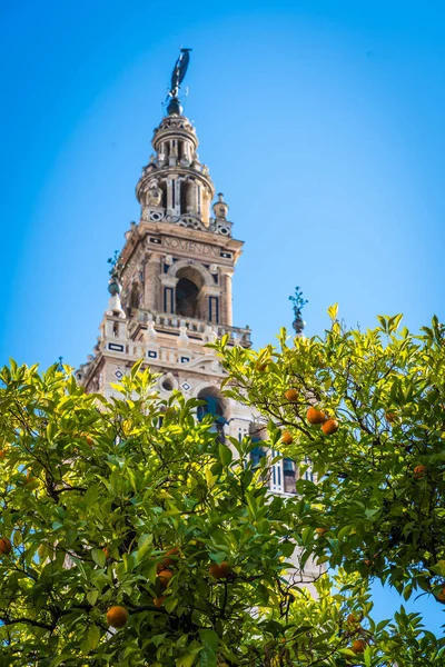 Giralda, Sevilla — Foto de Stock