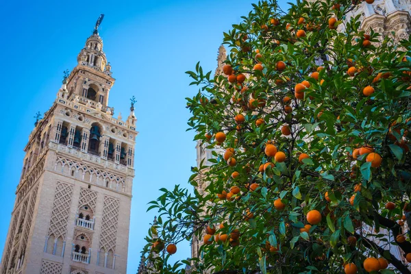 Giralda, Sevilla — Foto de Stock