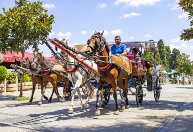 Büyükada, Türkiye, 26 Temmuz 2019,Prens Adaları Büyükada'da at ve at arabası, İstanbul,Türkiye. Prince Adaları'nda Phaeton turu. 