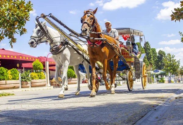 Büyükada, Türkiye, 26 Temmuz 2019,Prens Adaları Büyükada'da at ve at arabası, İstanbul,Türkiye. Prince Adaları'nda Phaeton turu. 