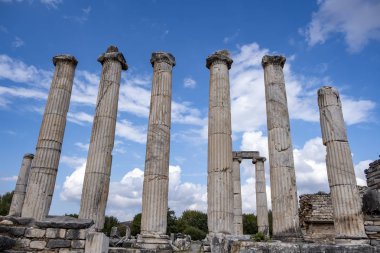 Afrodisias Antik Şehir. (Afrodizyaklar) Tanrıça Afrodit 'e adanmış birçok antik şehrin ortak adı. Afrodizyak denilen şehirlerin en ünlüsü. Karacasu - Aydn, Türkiye