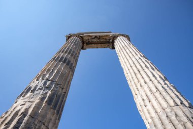 Didyma 'daki Apollo Tapınağı. Apollon Tapınağı - Didim, Türkiye 'deki Apollo Tapınağının kalıntıları