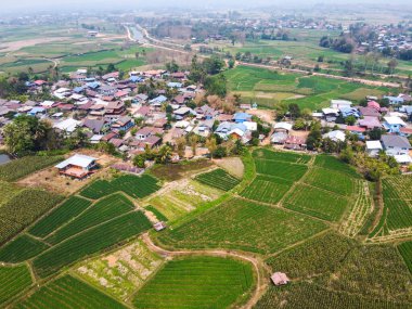 Pirinç tarlasının uçan insansız hava aracı yeşil desenli arka plan, pirinç tarlası ve köy manzaralı..