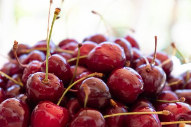 Su damlalarıyla sulu kirazlar, yaklaşın. Kırmızı kiraz arkaplanı.