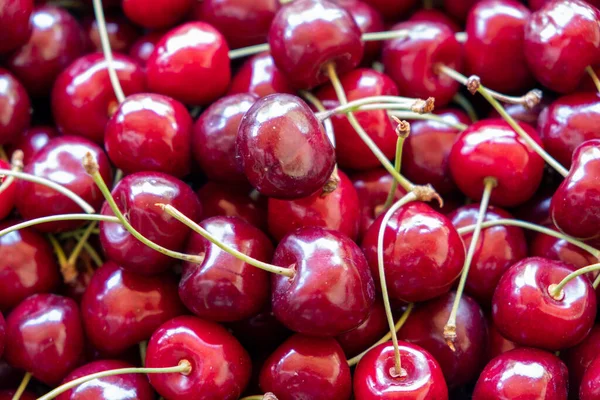 Rote Kirsche Hintergrund Rote Reife Köstliche Kirschen Ernten — Stockfoto