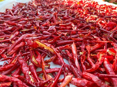 Kırsal kesimdeki masada kurutulmuş kırmızı biber. Kırmızı biber..