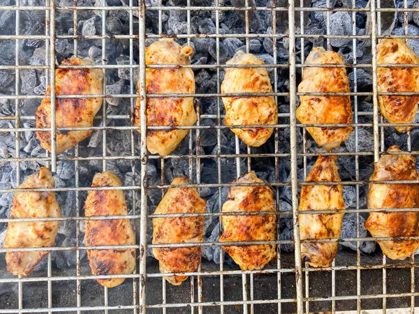 烤肉上的美味烤鸡肉 鸡翅在自然界中的花栗鼠身上 特写镜头 — 图库照片