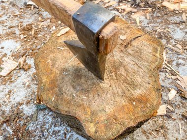 Balta ağaç kütüğüne sıkışmış. Oduncunun baltası kütüğün üzerinde..