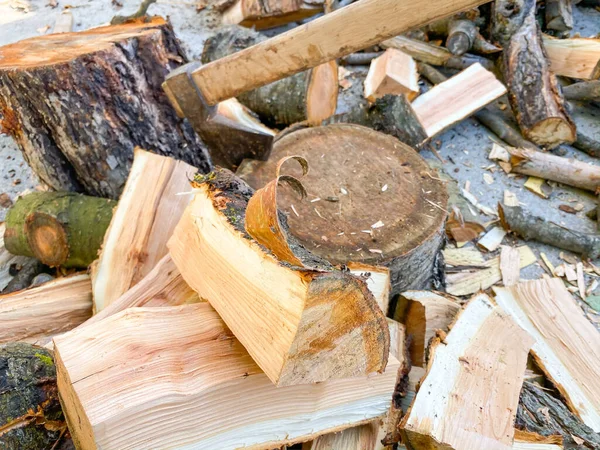 Ax stuck in a tree stump. Woodcutter\'s ax on the stump.