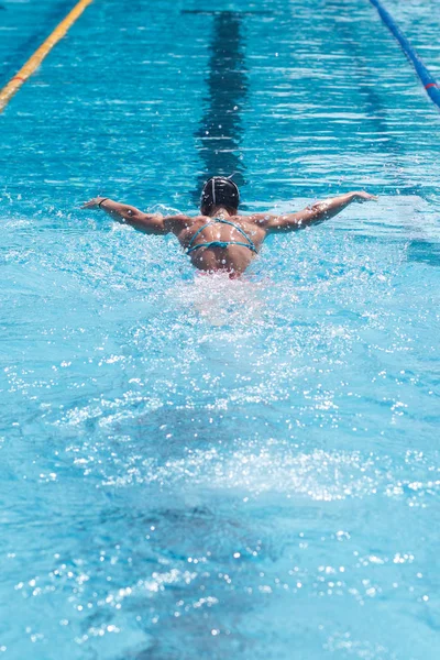 professional swimmer sportswoman butterfly swimming stroke in sportive swimming pool, rear view