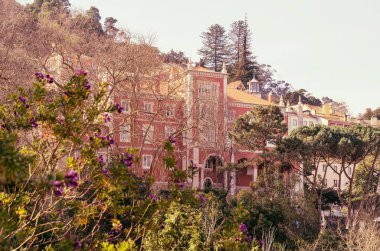 Sintra güzel bir çiçeklenme ağacı ve ortaçağ konak (Portekiz)