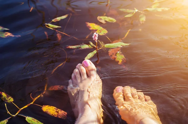 Жіночі Ноги Занурені Воду Лісового Озера Красивими Водними Квітами — стокове фото