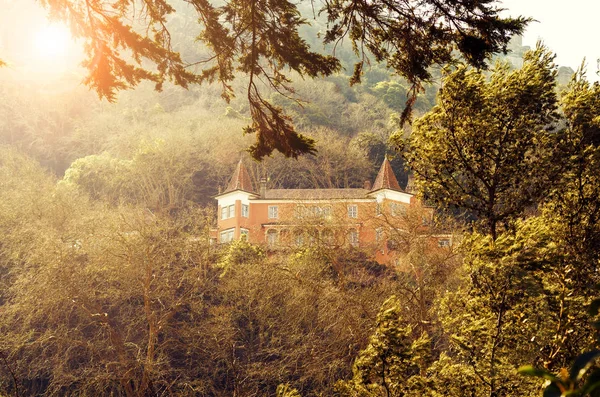 Sintra güzel bir ortaçağ konak ve orman (Lizbon, Portekiz)