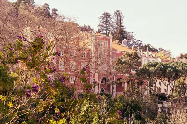 Sintra güzel bir çiçeklenme ağacı ve ortaçağ konak (Portekiz)