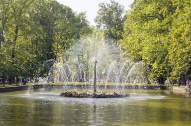 Peterhof, Saint-Petersburg / Rusya - 26 Ağustos 2019: Peterhof'ta güzel bir döner daire çeşmesi