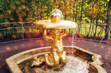St Petersburg Peterhof kamu parkı mutlu bir merman çocuk altın bir çeşme, Rusya
