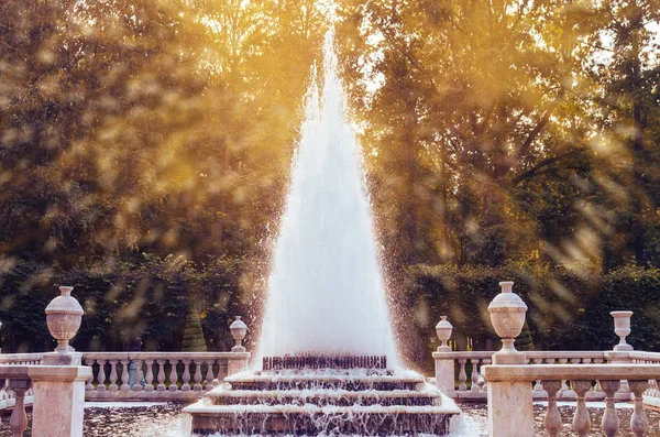 Una Hermosa Fuente Piramidal Parque Peterhof Rusia — Foto de Stock