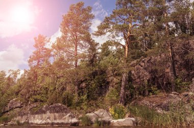Rusya'nın kuzeyinde güzel manzara