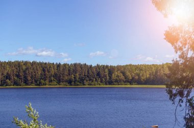 Güneş ışığında huzurlu bir orman ve mavi göl