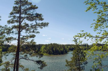 Vahşi yeşil bir adanın güzel bir görünümü